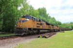 UP 8384